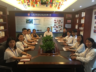 Cina Jiangxi Longtai New Material Co., Ltd Profil Perusahaan