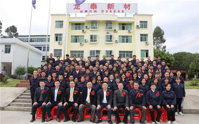 Cina Jiangxi Longtai New Material Co., Ltd Profil Perusahaan