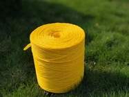 Polypropylene Packing Banana Twine 2.5g/M in any color, yellow, blue, green, white