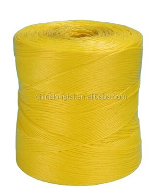 4mm UV Treated Bule Polypropylene Twine/PP Packing Rope