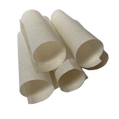 Resistensi isolasi 1,12 kali 10 pangkat 14 ohm kertas isolasi motor dirancang untuk menahan panas hingga 300 derajat Celsius