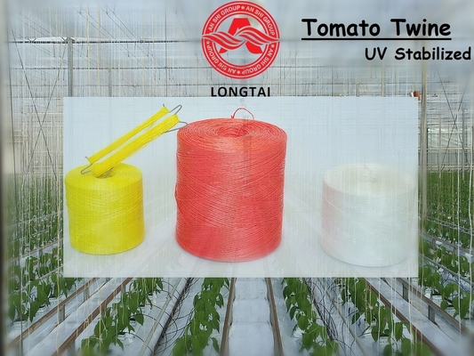 1mm 1.5mm Colorful Polypropylene Twine Untuk Tomato Mengikat / Poly Twine Rope
