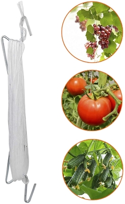 10 PCS 22cm Tomat Teralis Kait Dengan Tali 32.8ft